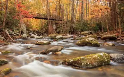 A breathtaking river in the Great Smoky Mountains National Park during the fall.