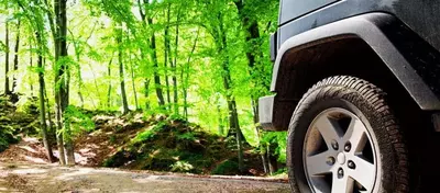 A Jeep in the woods.