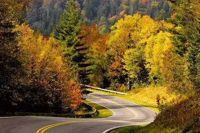 You enjoy each of the FOUR seasons the Smokies