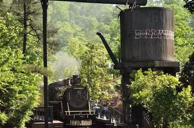 Dolly Parton husband Carl Dean is rumored to visit Dollywood every year. 
