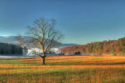 sunrise in Cades Cove