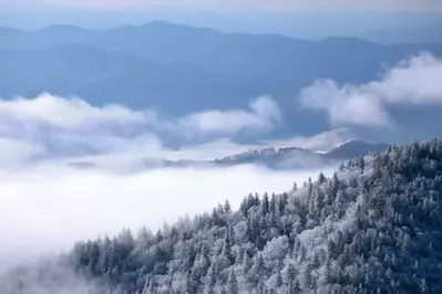 Fog floating over the mountaintops wuth white trees in the Great Smoky Mountains