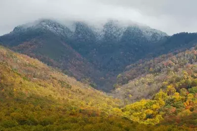 Fall leaves and snow capped mountaintops