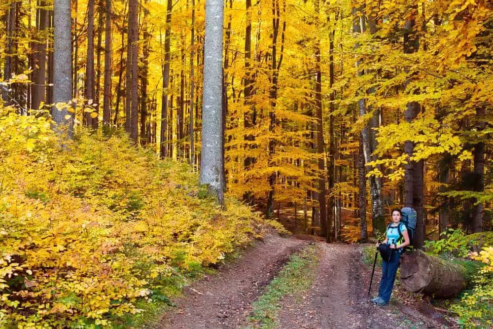 fall hiking in the Smoky Mountains