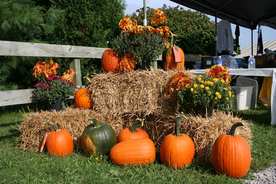 With,Flowers,,Pumpkins,And,Straw
