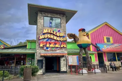 mellow mushroom