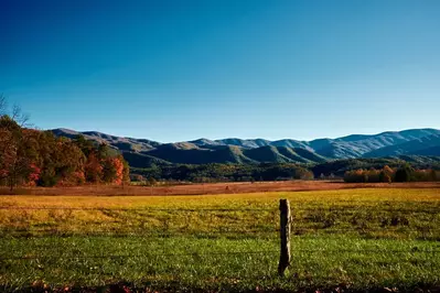 fall