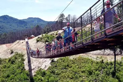 gatlinburg skybridge