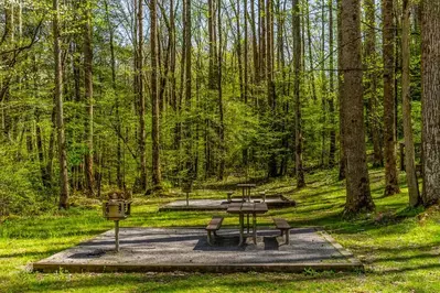 picnic area great smoky mountains