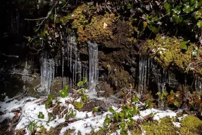 icicles along the alum cave trail