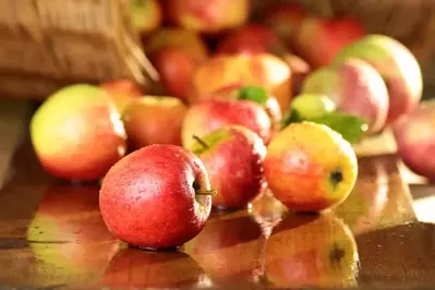 apples spilling out of basket