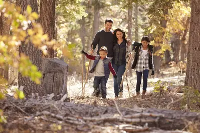 family in the woods