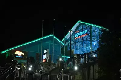 ripley's aquarium at night