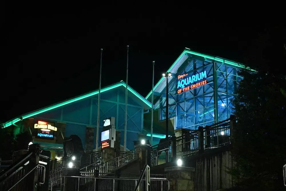 ripley's aquarium at night
