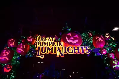 great pumpkin luminights sign at dollywood