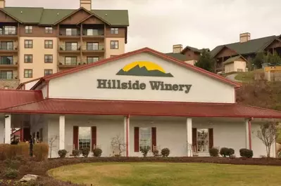 hillside winery in the smoky mountains