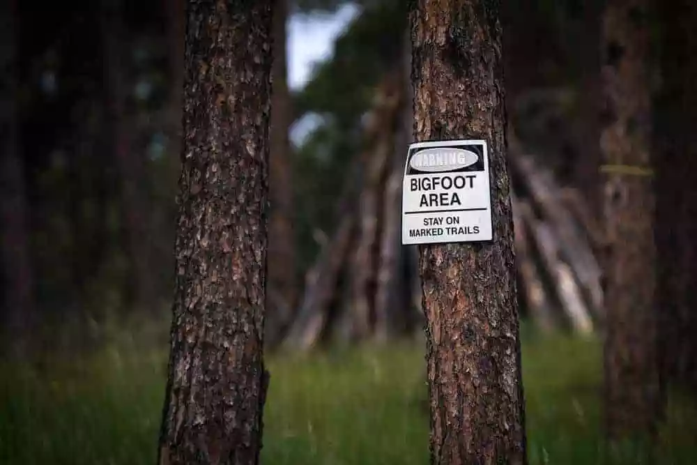 Warning Bigfoot Area sign in the woods