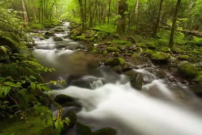 creek flowing in the smoky mountains