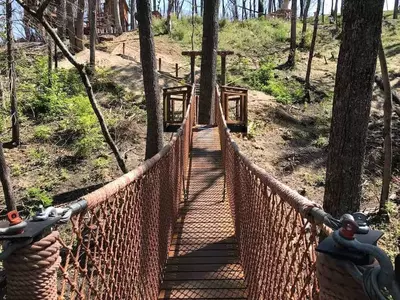 Treetop Canopy Walk at Anakeesta