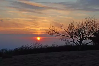 Gregory Bald in the smoky mountains