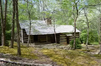 Porter's Creek Trail