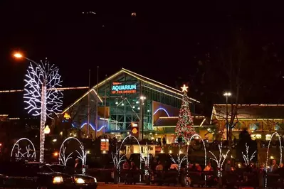 Ripley's Aquarium of the Smokies at night during the holiday season.