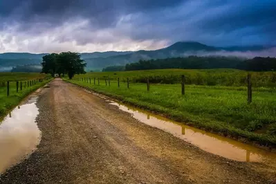 A muddy road in Cades Cove after a storm.