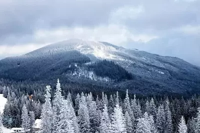 Snow in the Smoky Mountains