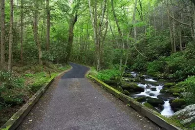 Roaring Fork Motor Nature Trail road