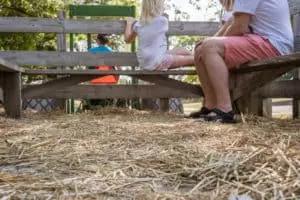 hayride