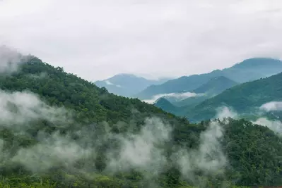 Fog rolling through the Great Smoky Mountains