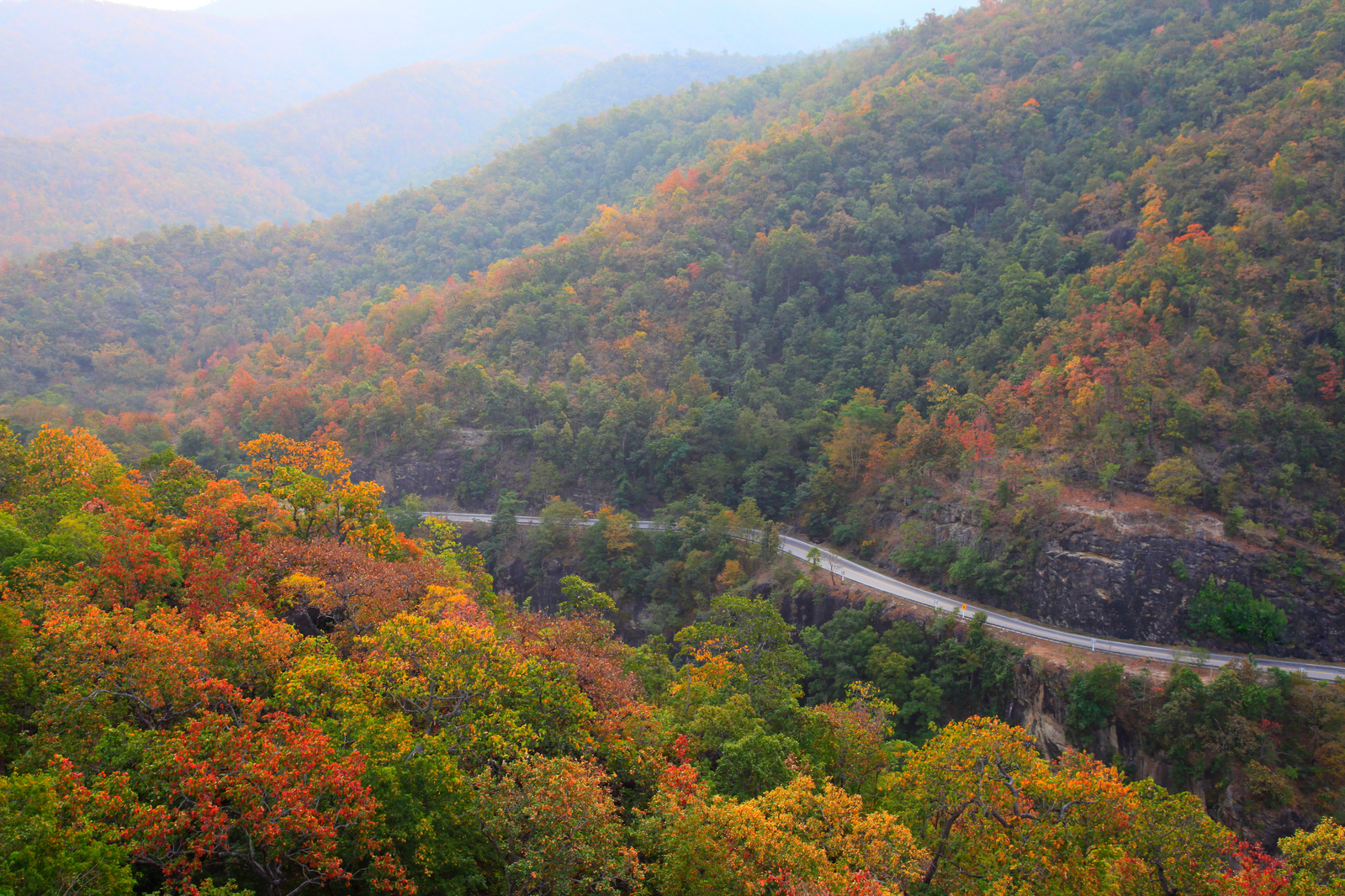 winding road during fall in the smokies