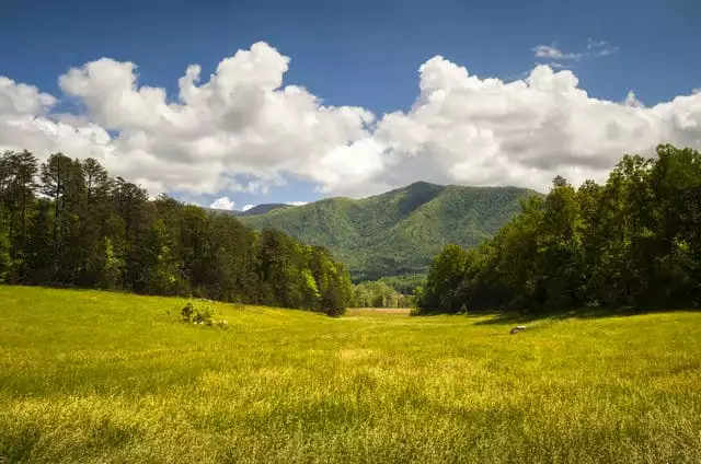 Grassy_view_of_Cades_Cove_in_the_Great_Smoky_Mountains_National_Park-xSmall