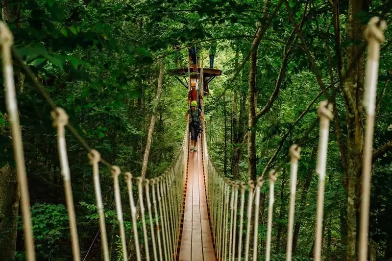 Bridge2_gallery