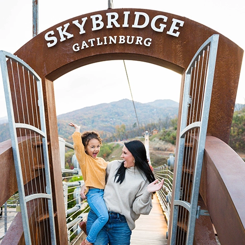 skybridge500x500-1