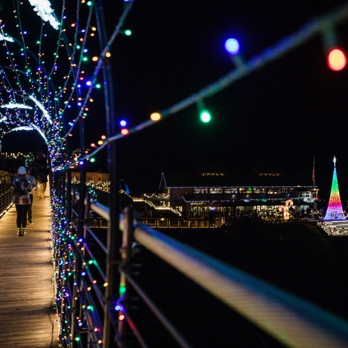 skybridgegatlinburg500x500-1