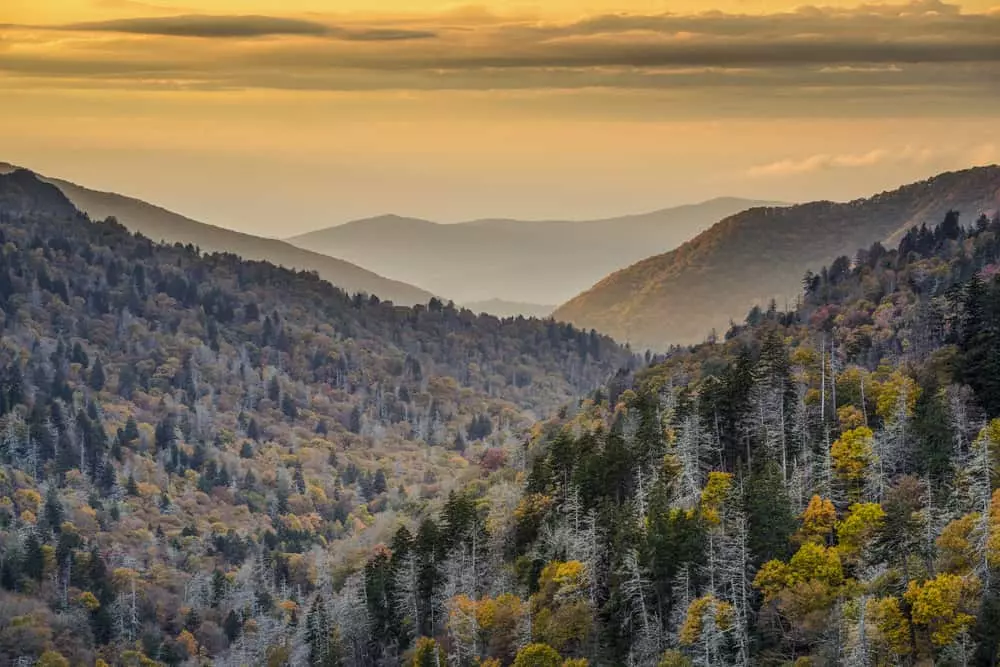 the Smoky Mountains
