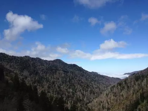 Smokies in the winter