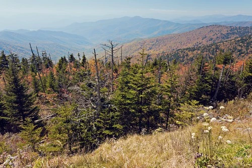 fall in the Smokies
