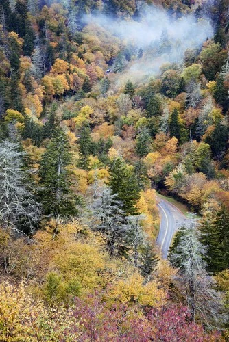 fall in the Smokies