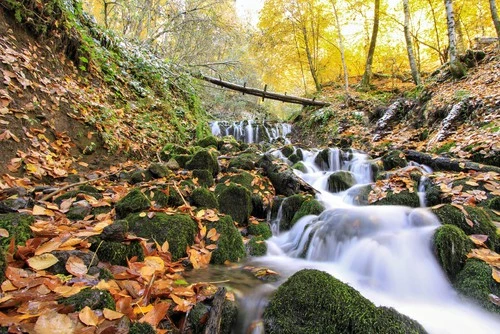 stream in the Smokies