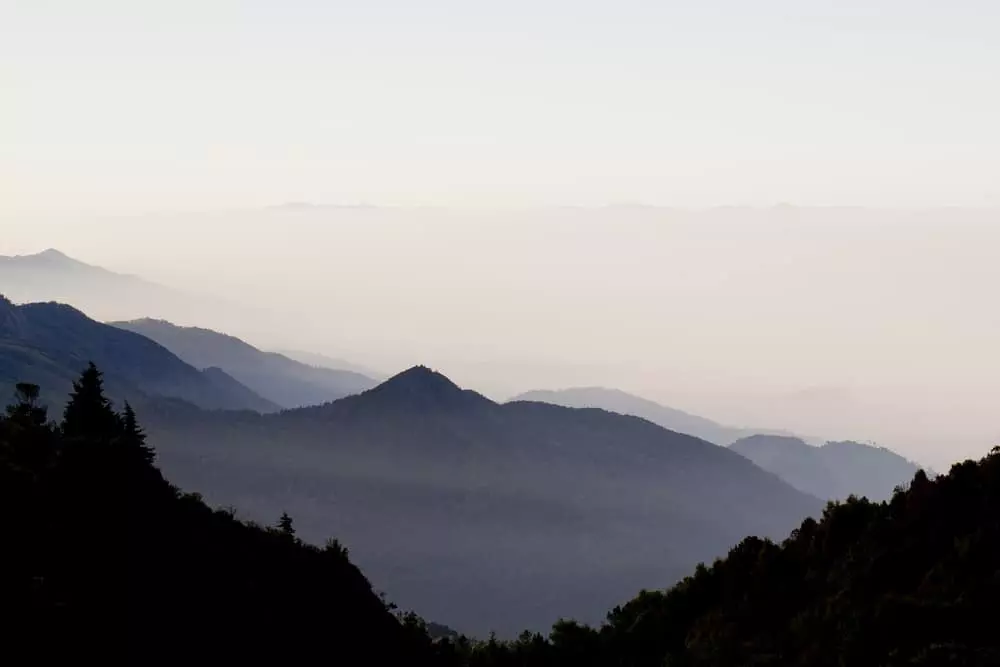 foggy Smokies