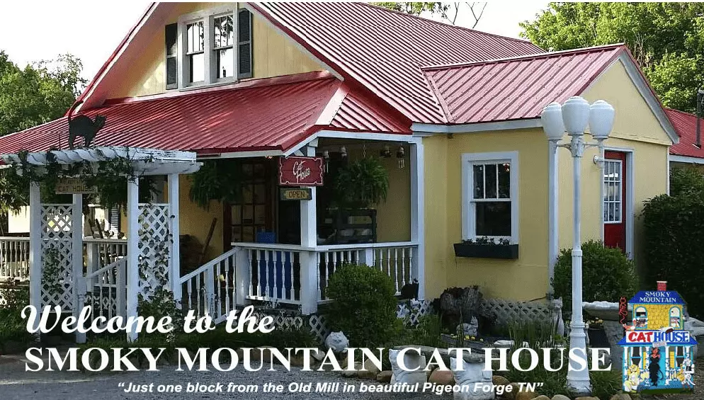 Smoky Mountain Cat House