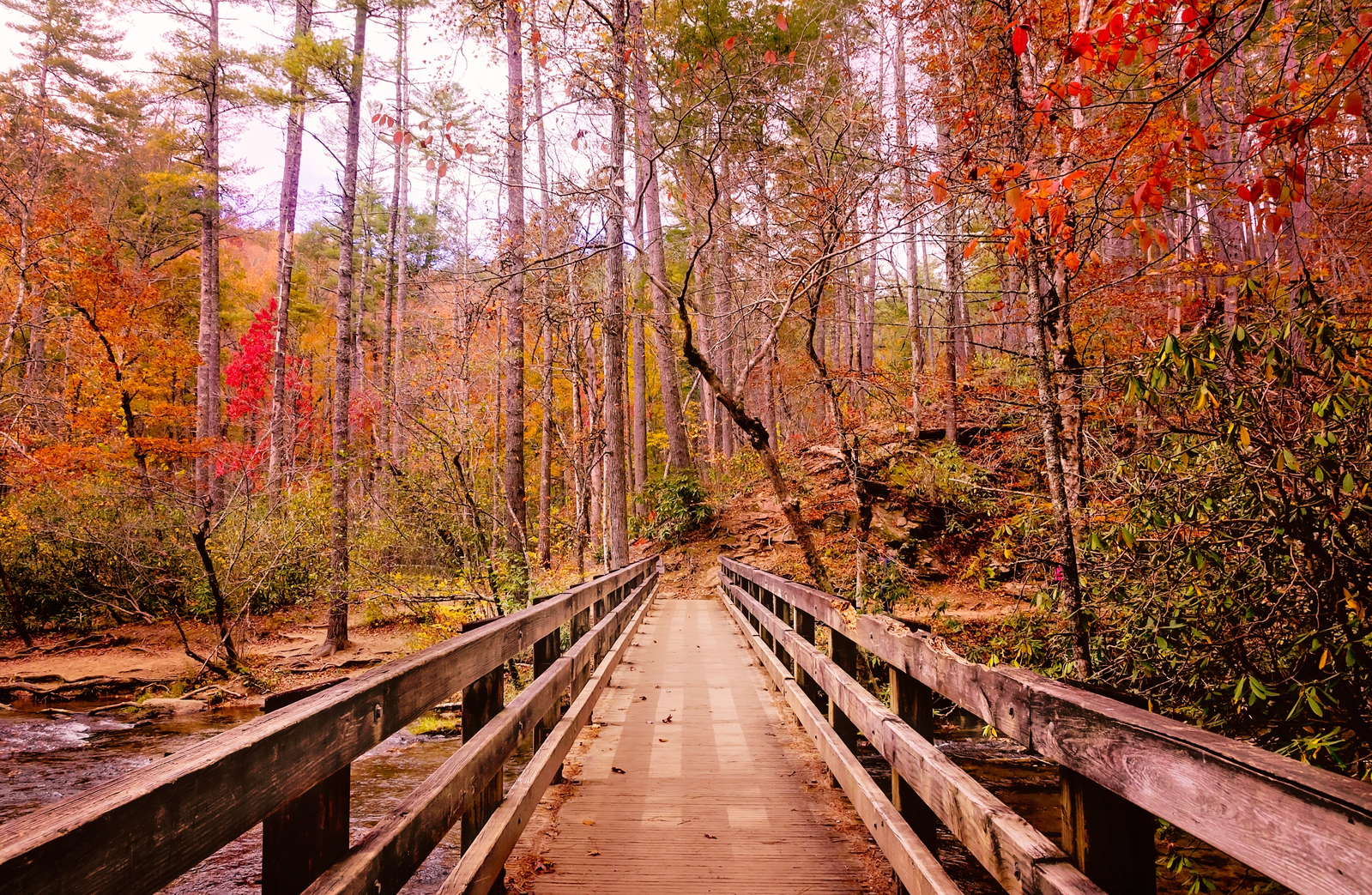 bridge in the Smoky Mountains during fall