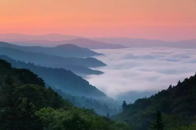 foggy smoky mountains