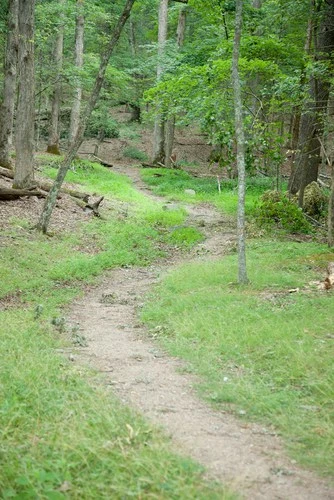 Smoky Mountain trail