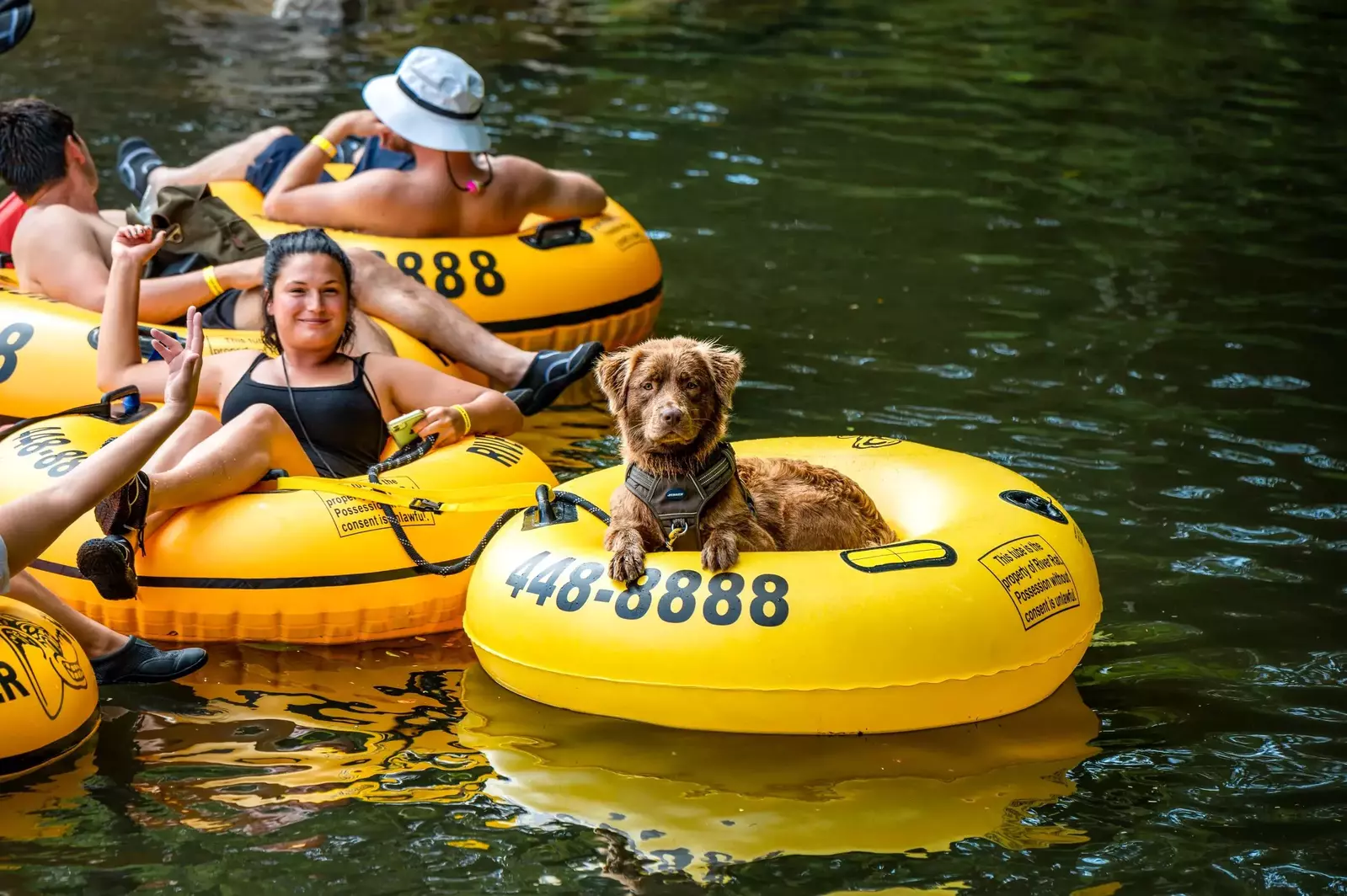 river-rat-tuping-banner