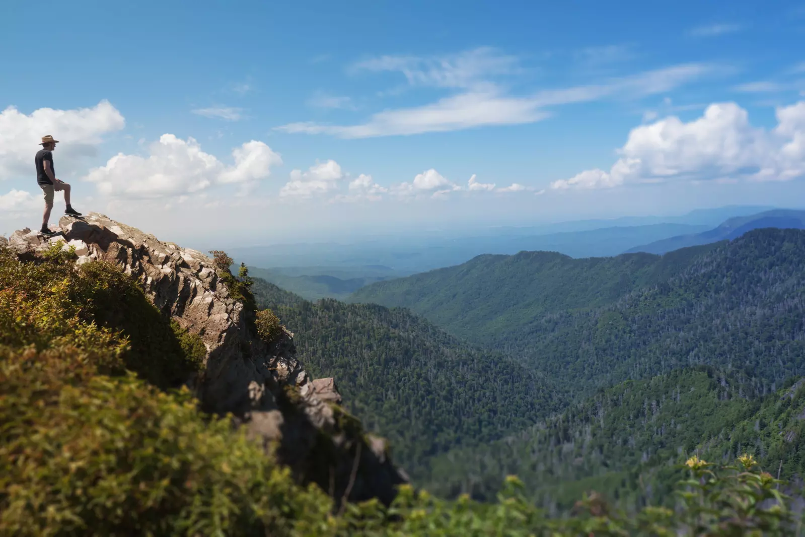 view from atop the smokies