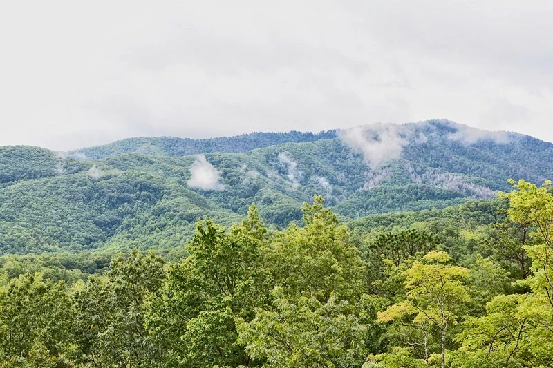 Breathtaking views of the Great Smoky Mountains