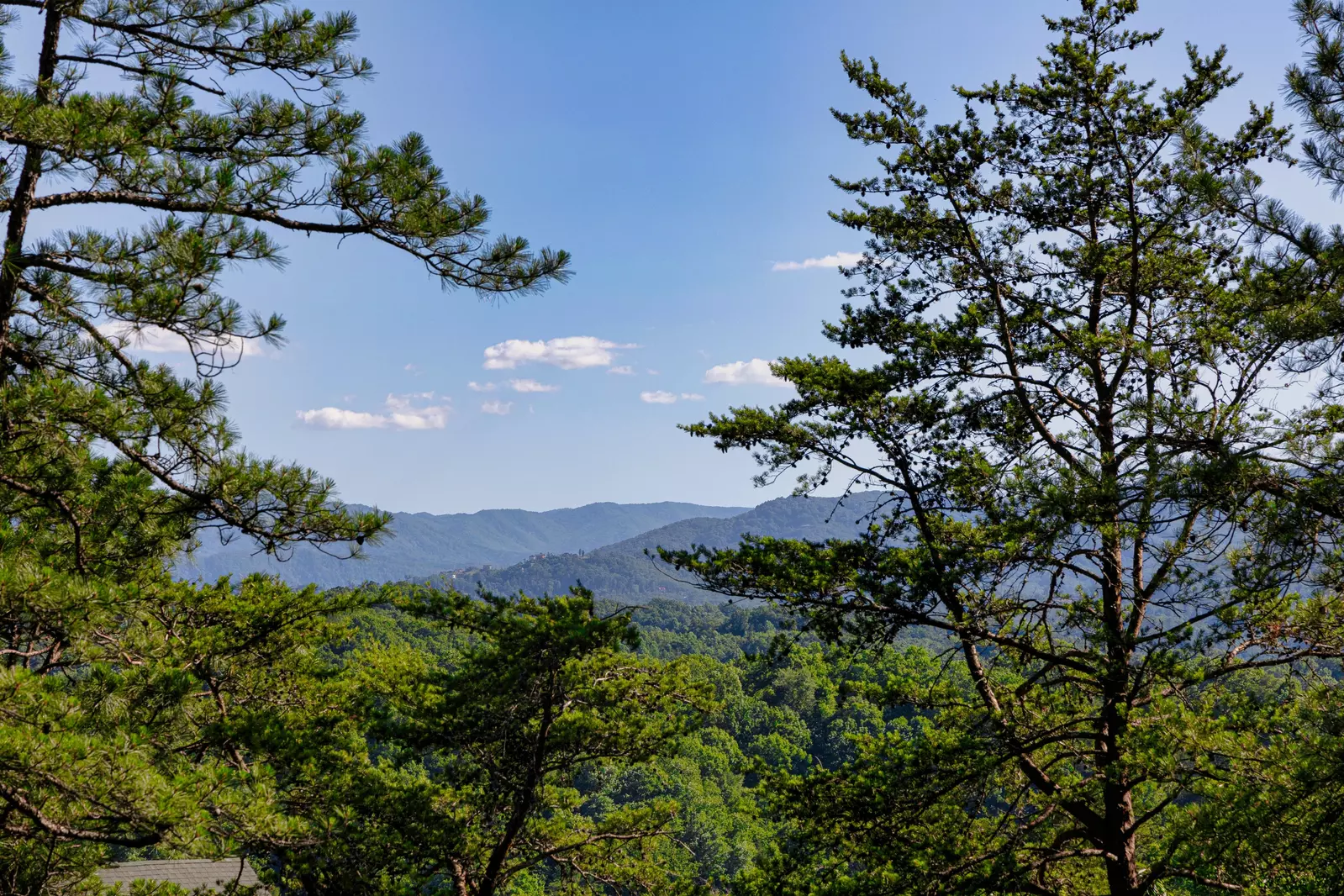 Heavenly View